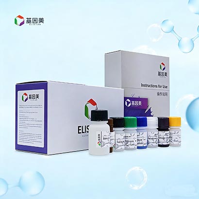 大鼠摄食抑制因子1(NES1)检测试剂盒