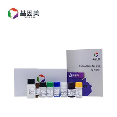 小鼠血管生成素4(ANGPT4)ELISA Kit