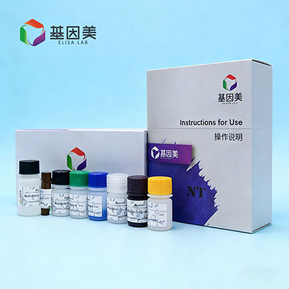 大鼠白细胞介素6(IL-6)ELISA Kit